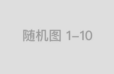 从财务角度解析股票十大杠杆公司